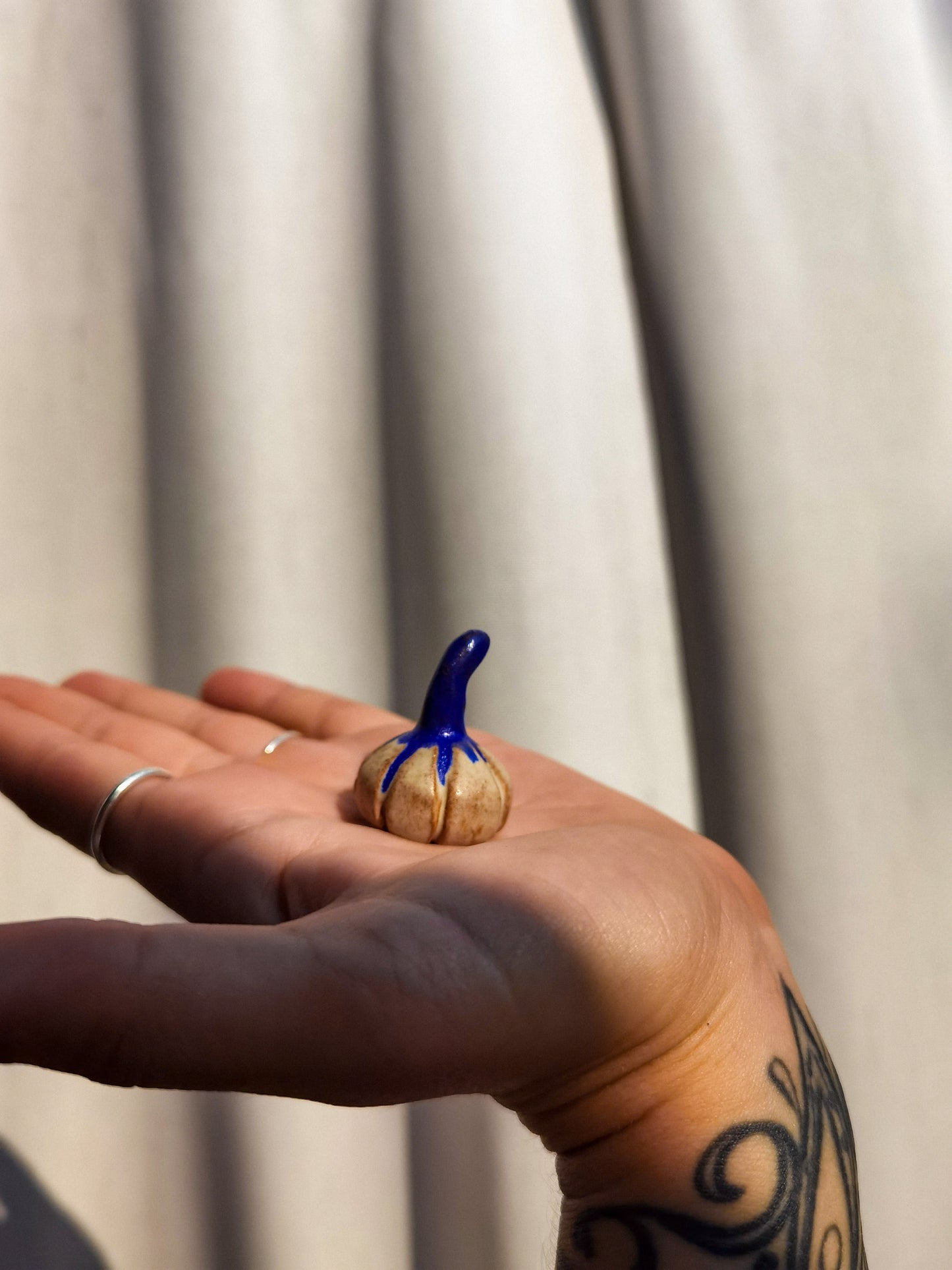Mini pumpkin #6