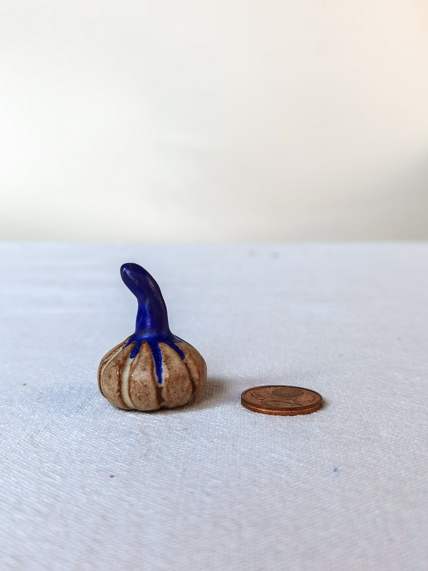 Mini pumpkin #6