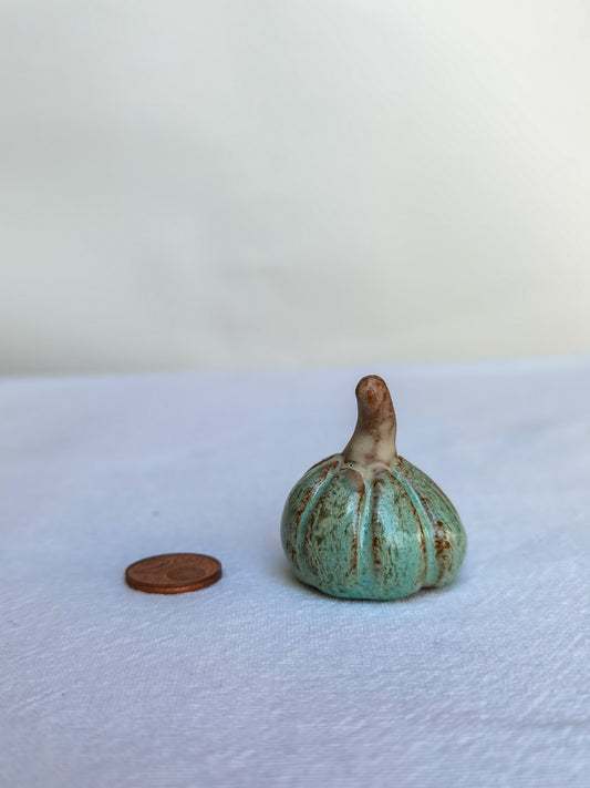 Mini pumpkin #15