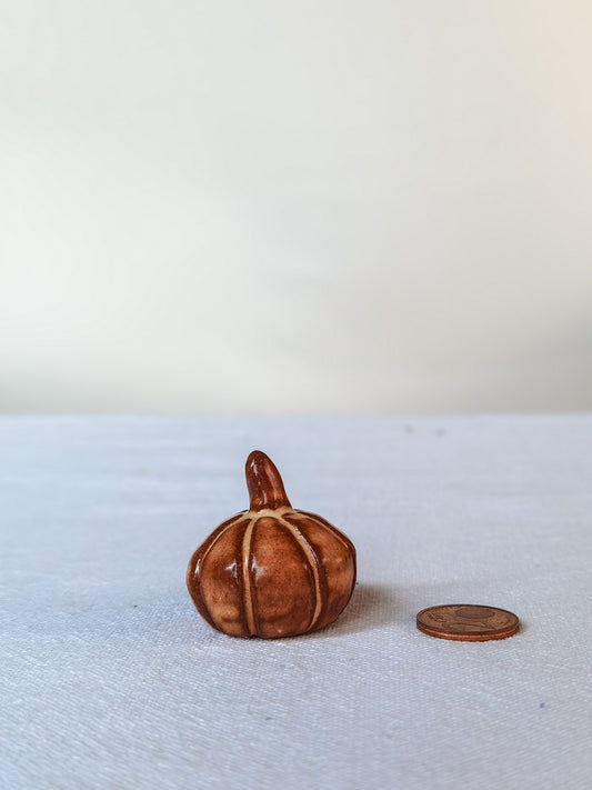 Mini pumpkin #10